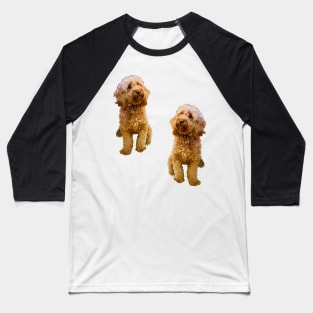 Cavapoo Cavoodle puppy pattern in cream- cute cavalier king charles spaniel Baseball T-Shirt